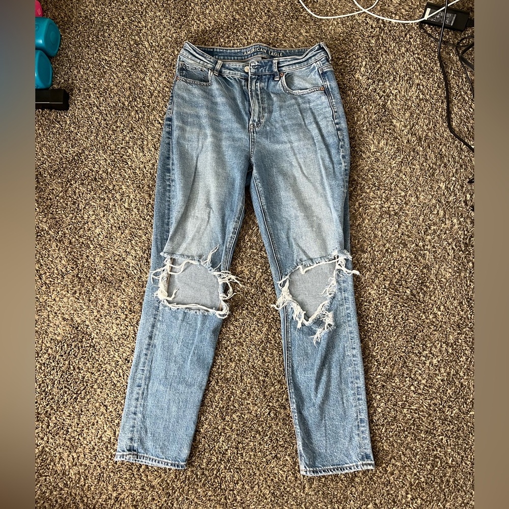 AE Strigid Ripped Mom Jean - 10 Long